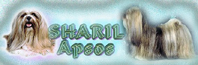 Site de Karin Acker Traschi-Deleg